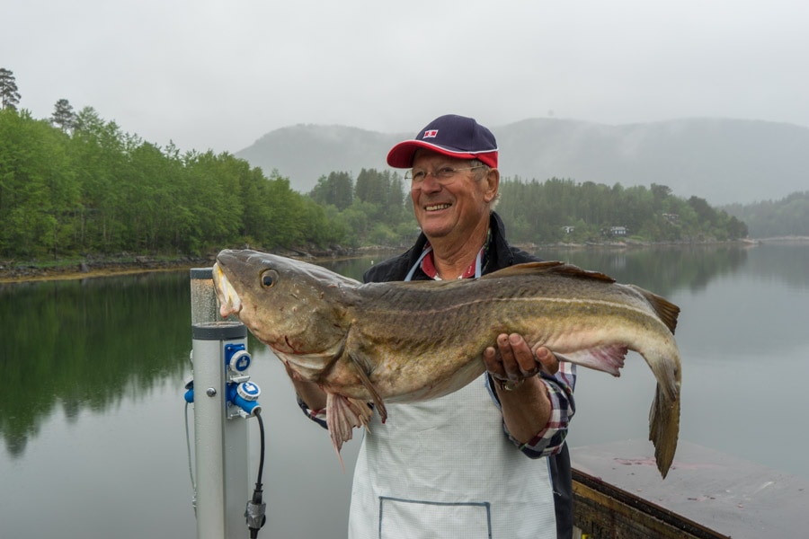 Norway Cod Fishing Romsdals Fjord
