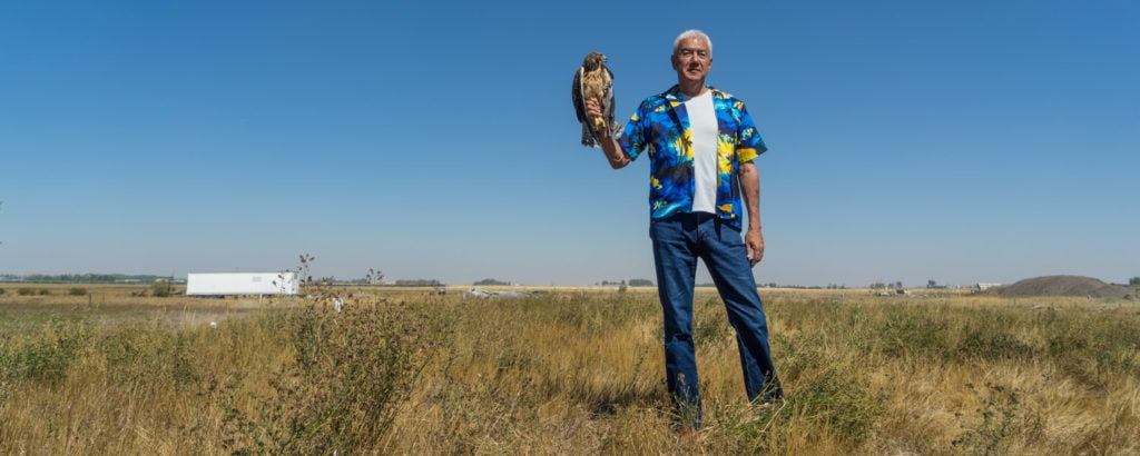 Alberta birds of prey hawk release tom jackson