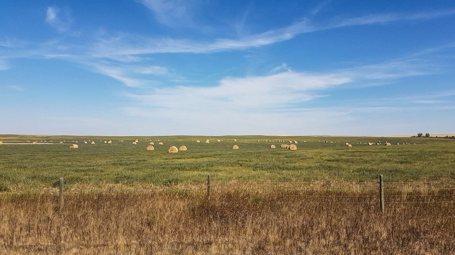 Badlands farming fields in Alberta