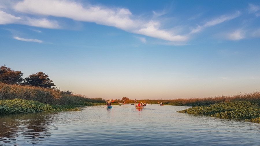 Kayak California delta