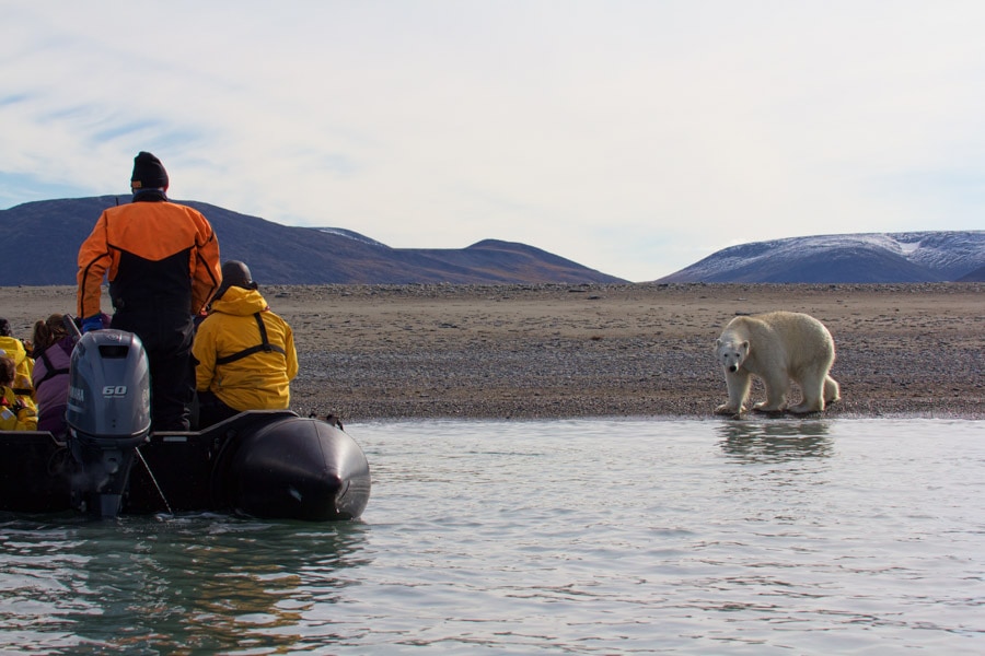 Wrangel Island Extreme destinations