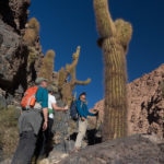 atacama desert tours hiking cactus