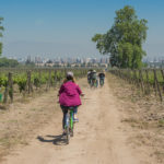 Santiago wine tours biking