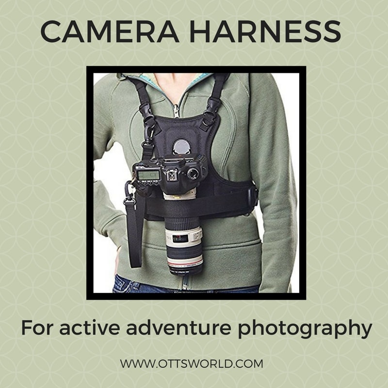 camera gear harness