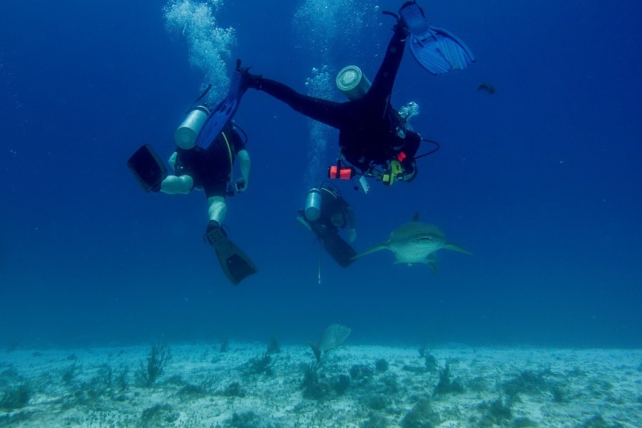 scuba diving surprises