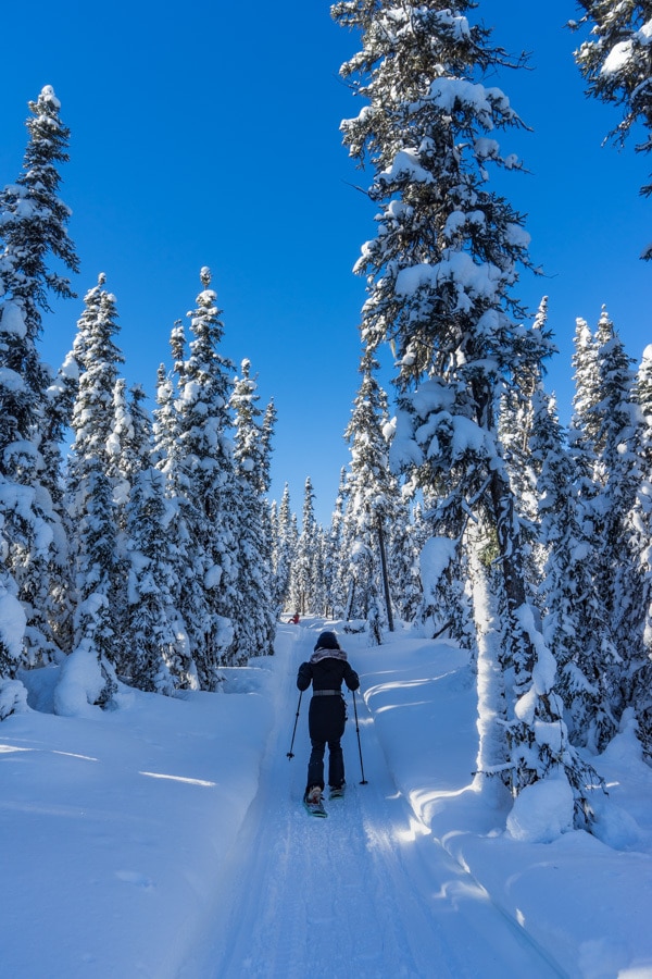 Fairbanks Alaska winter Black Rapids