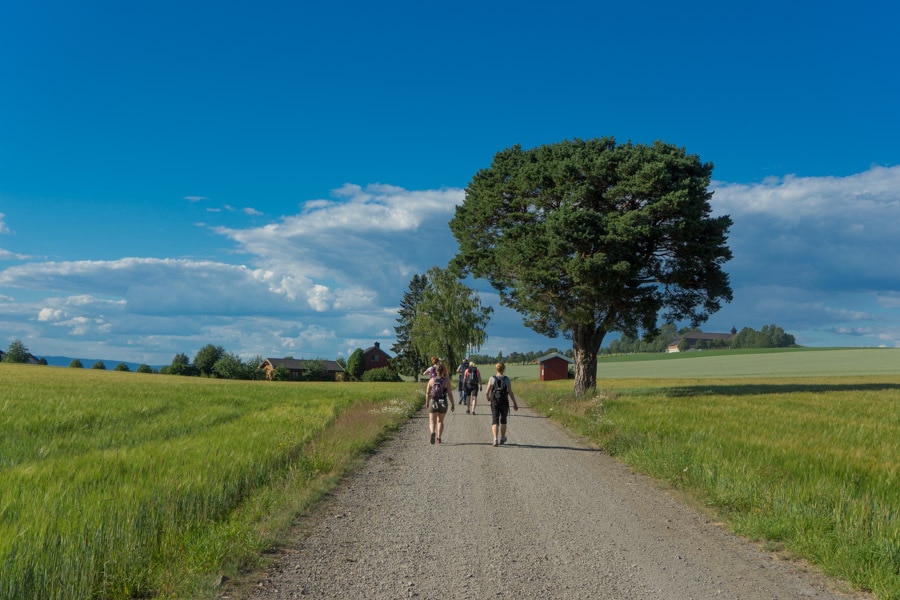 5 Reasons To Walk the Gudbrandsdalsleden Path in Norway