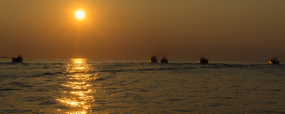 costa brava fishing boats