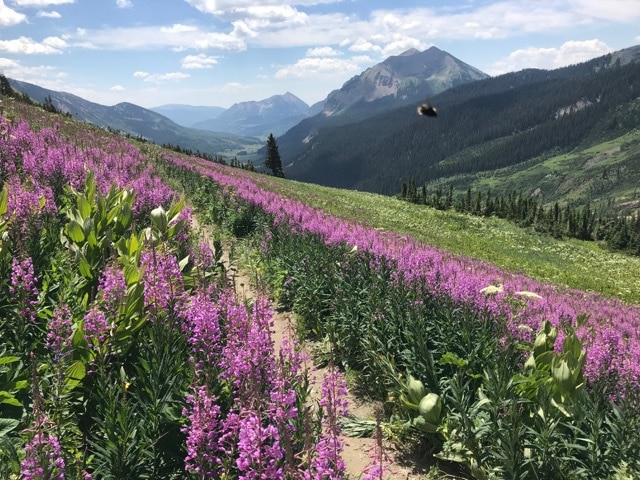crested butte hiking