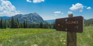 snodgrass mountain hike crested butte