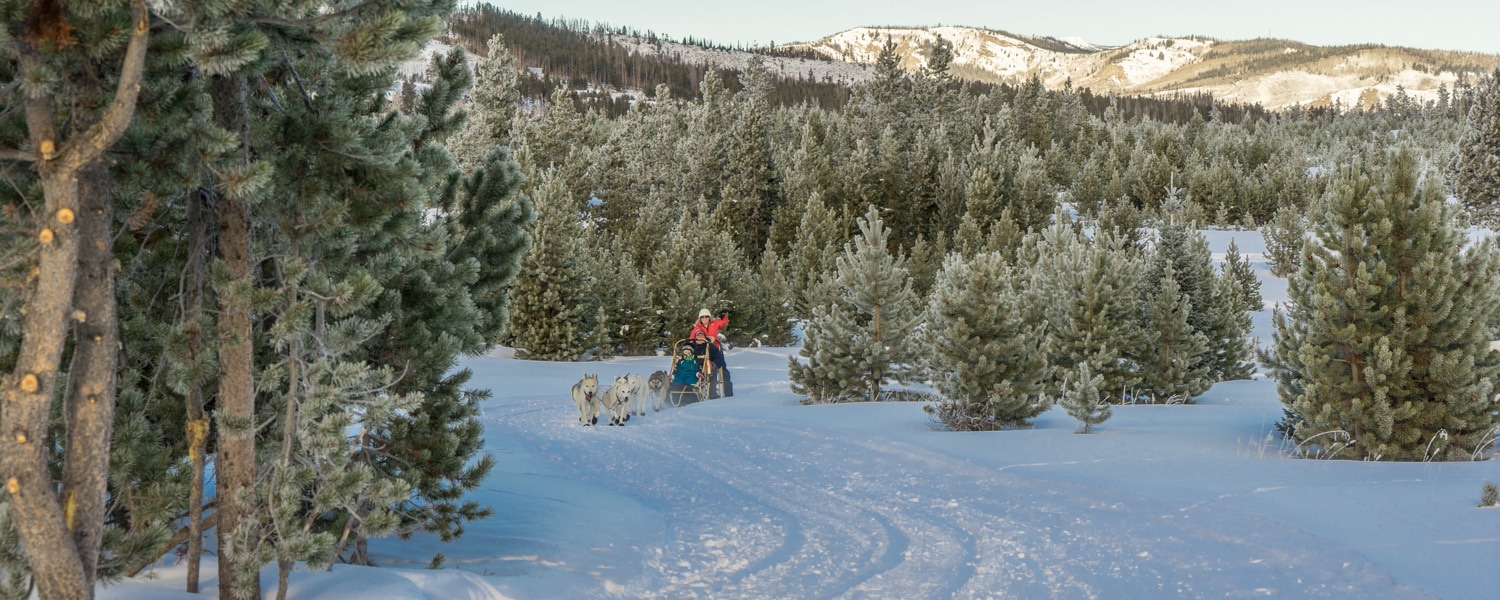 colorado dog sledding snow mountain ranch