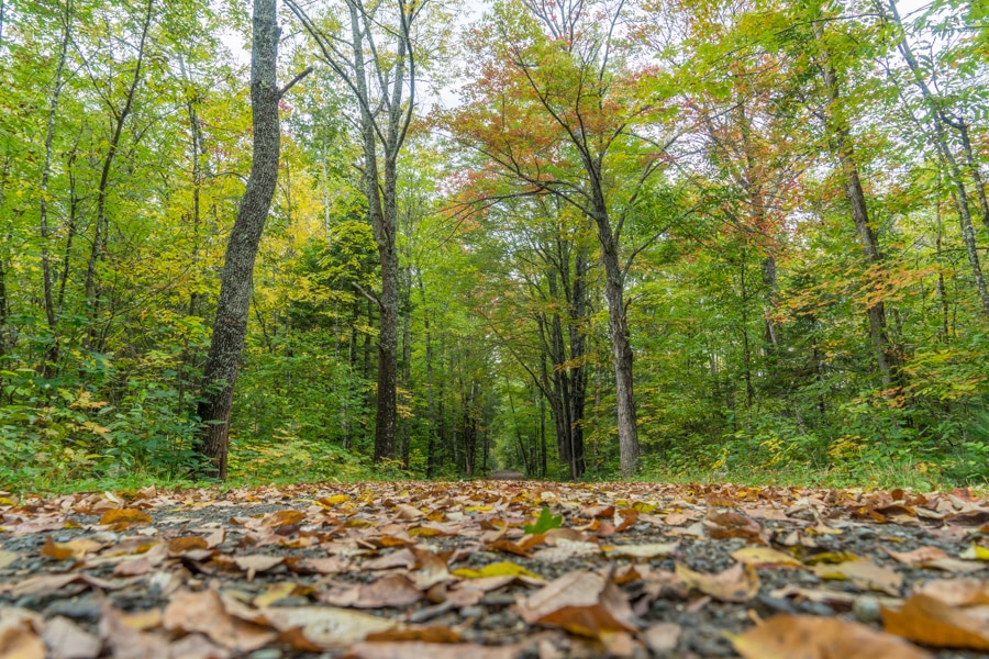 Maine huts and trails fall hiking