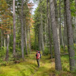 Maine huts and trails guided