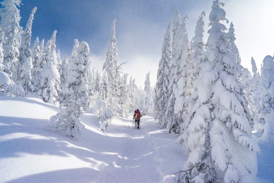 Quebec winter activities vallee des fantomes