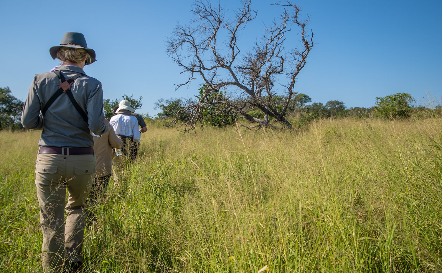 Thanda walking safari
