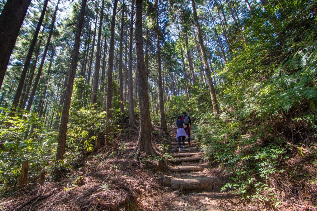 hiking packing list kumano kodo thru hike japan