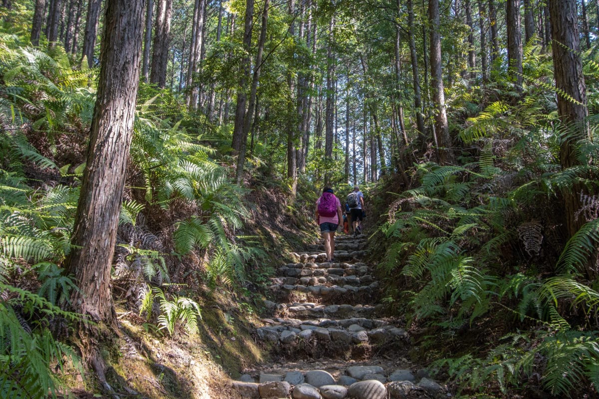 kumano kodo hiking - how difficult is the kumano kodo