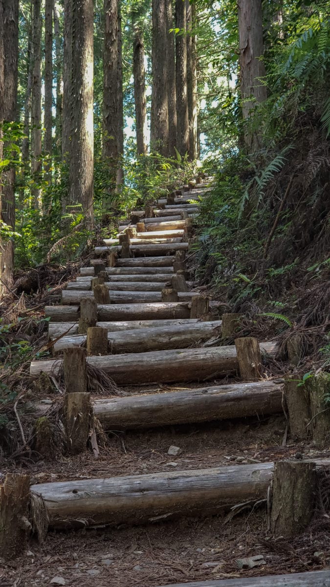 trail difficulty kumano kodo