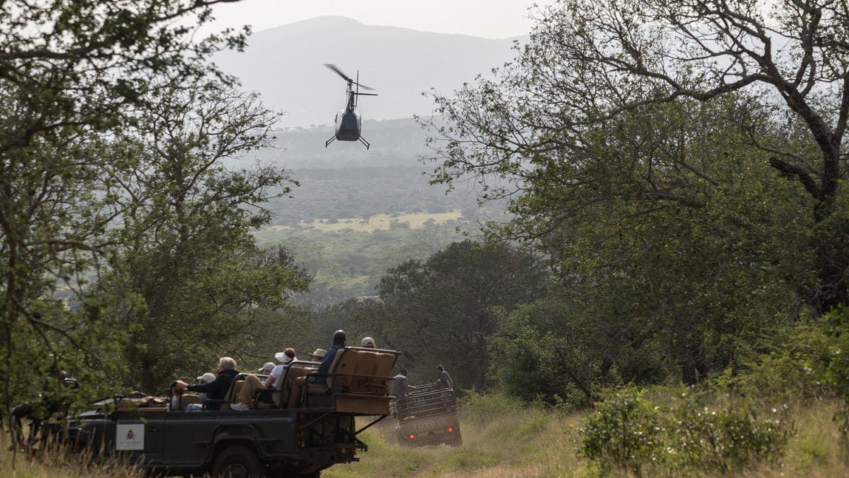 helicopter for rhino darting
