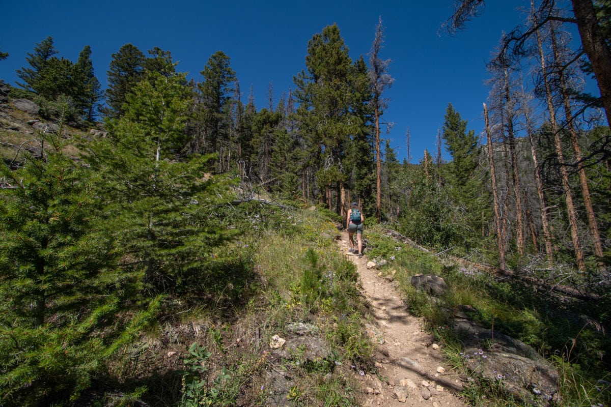 Beaver Creek Trail 