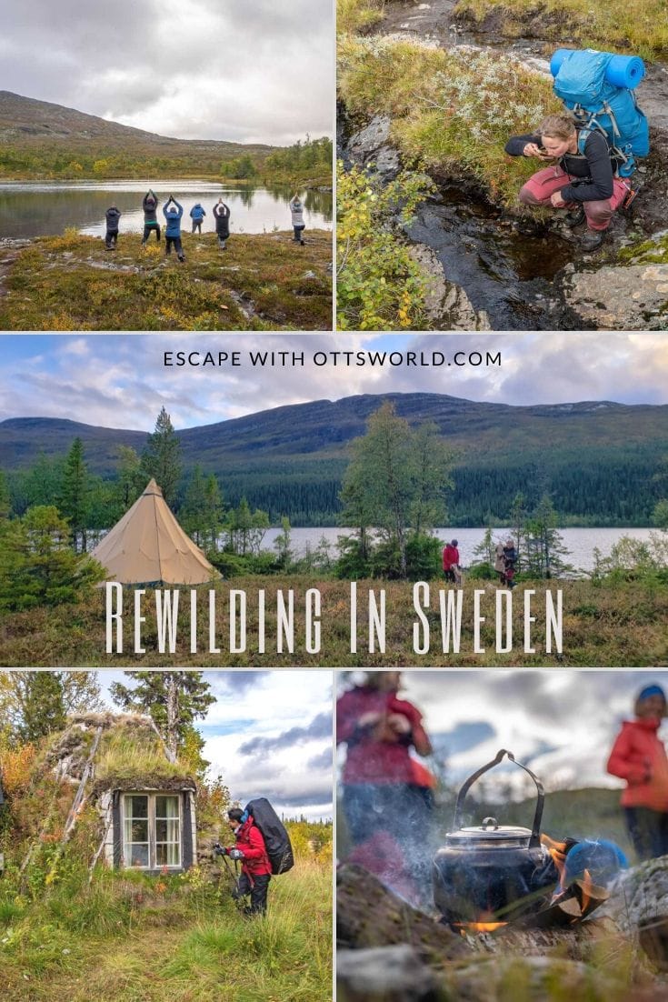 Rewilding Sweden
