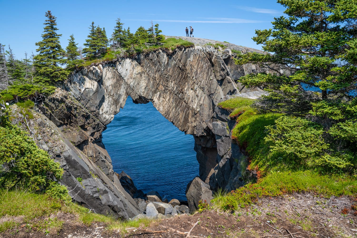 berry head natural arch