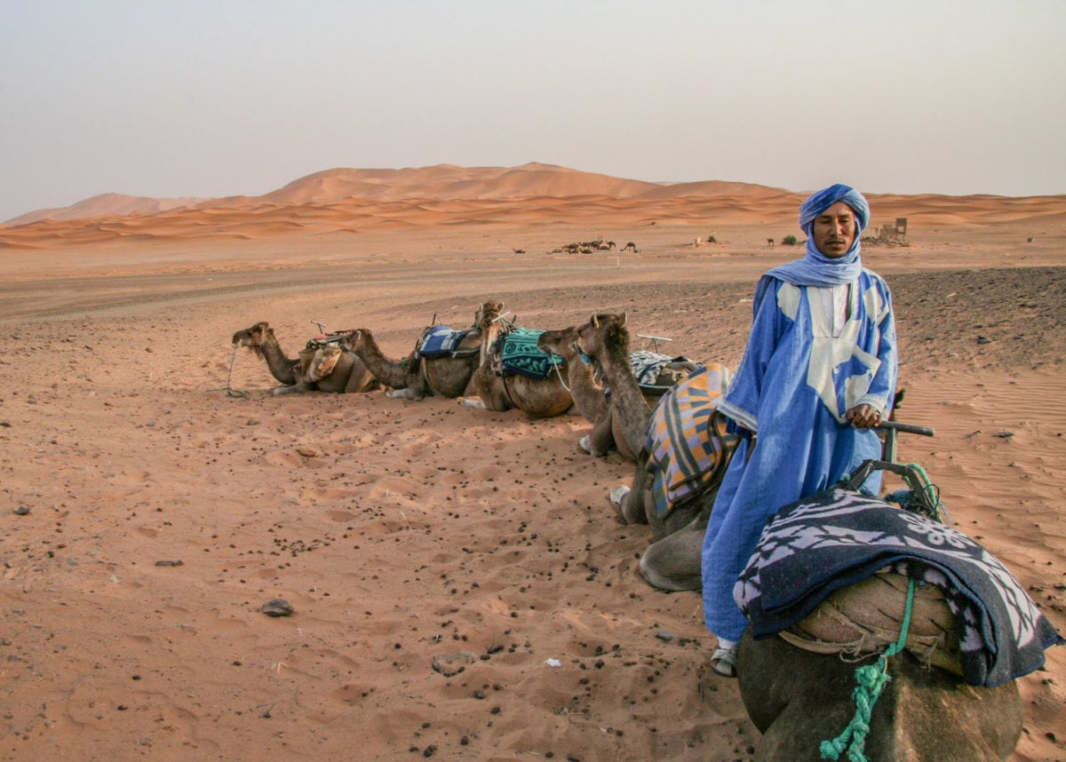 sahara desert camel ride