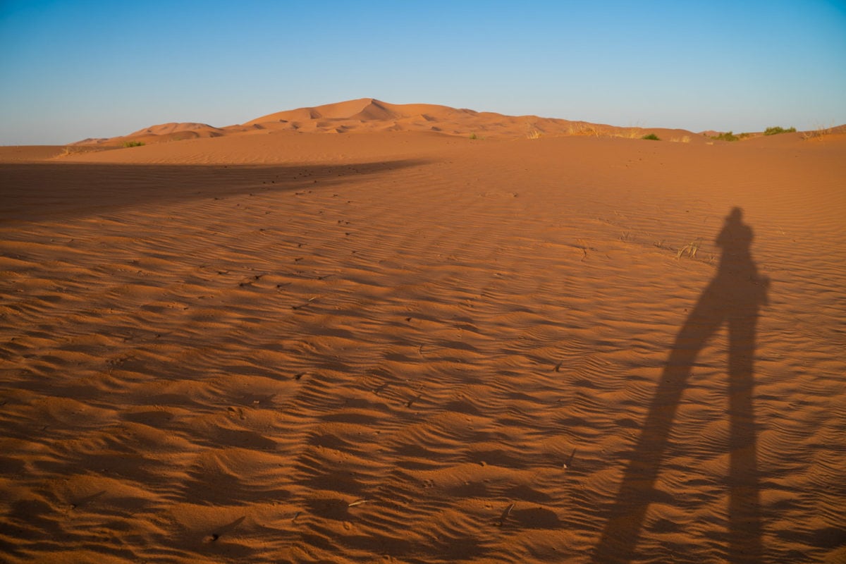 tall desert shadows