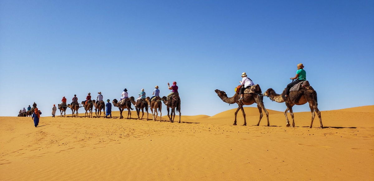 Camel Train Sahara Desert