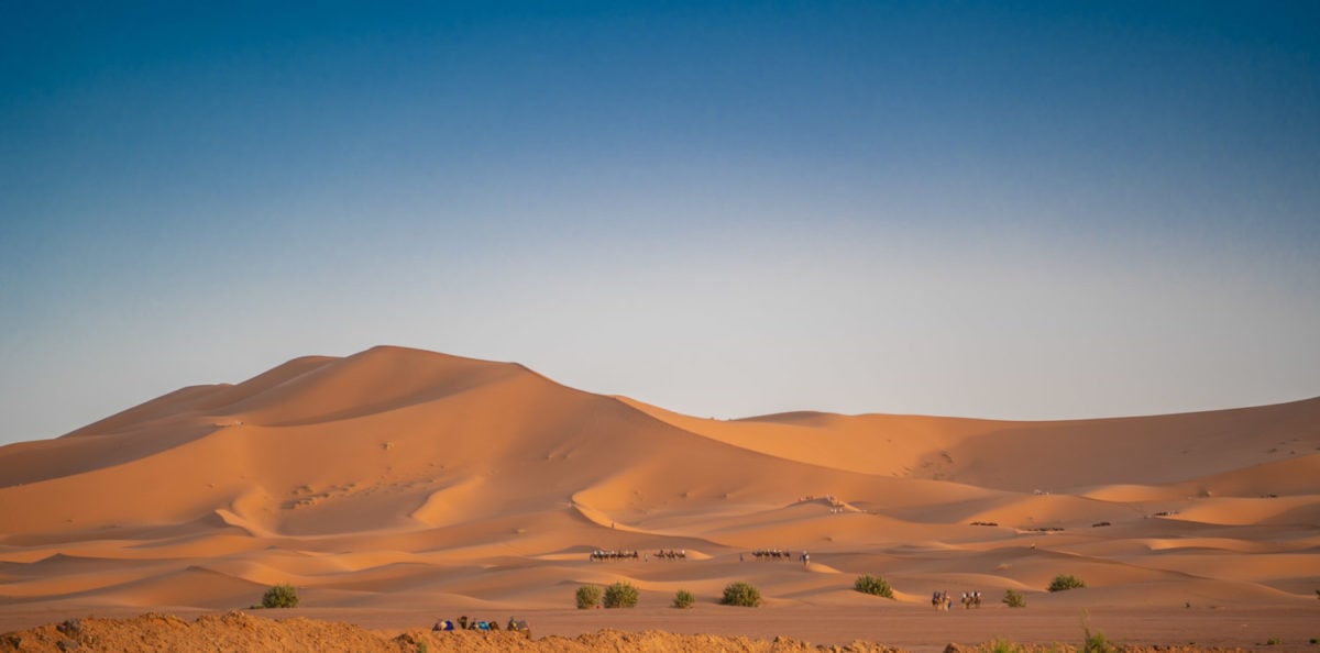 sahara desert camel tour