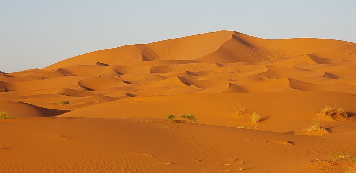 sahara desert dunes low sun