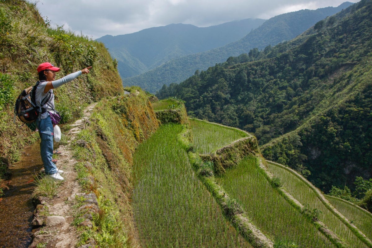 rice terrace hike guide philippines
