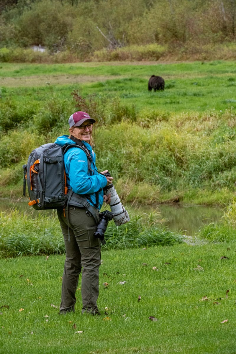 Watching Bears In Bc Canada 3 Methods To See Grizzlys