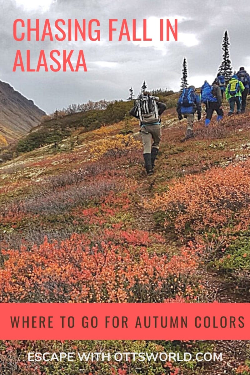 hikers on uphill path in autumn alaska
