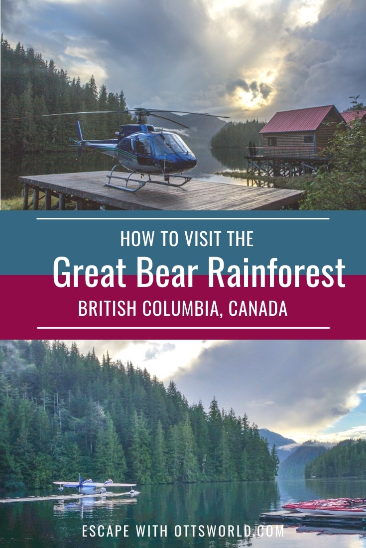 great bear rainforest british columbia canada