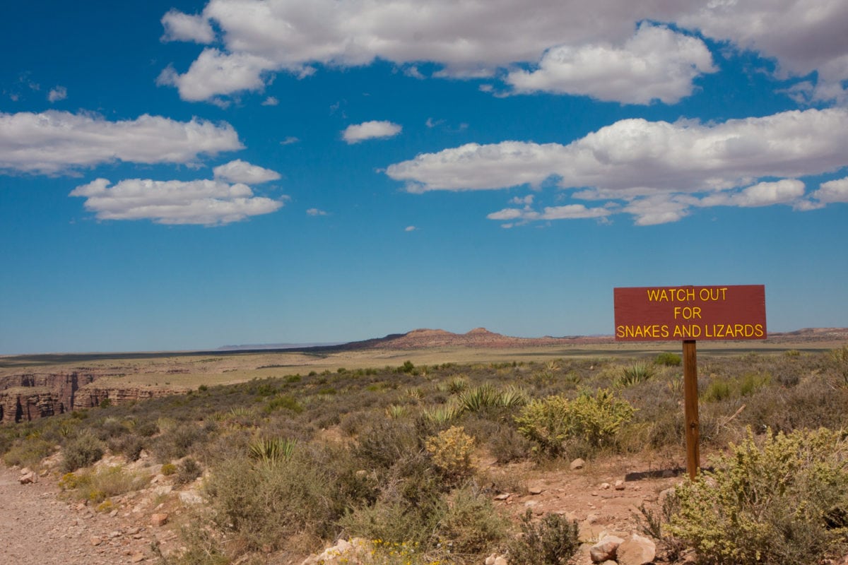 drive to antelope canyon - things to do near antelope canyon