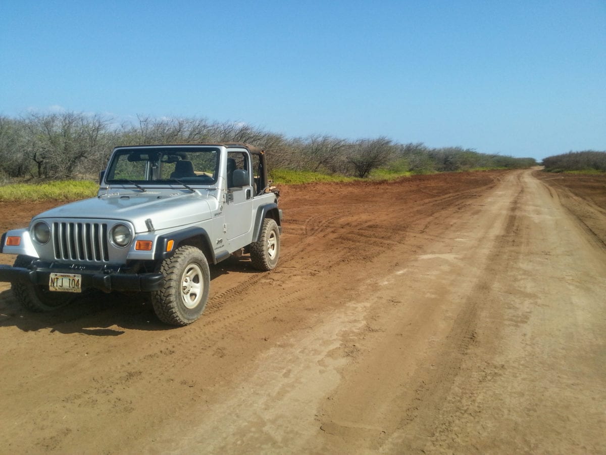 Jeep rental for Polihua trail lanai
