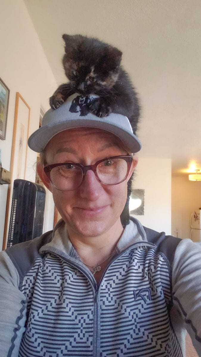 kitten on my head