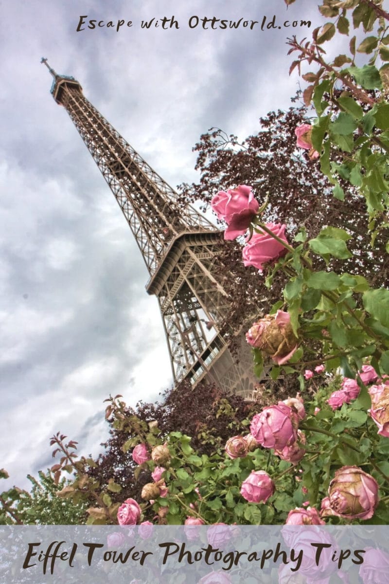 Eiffel Tower with roses