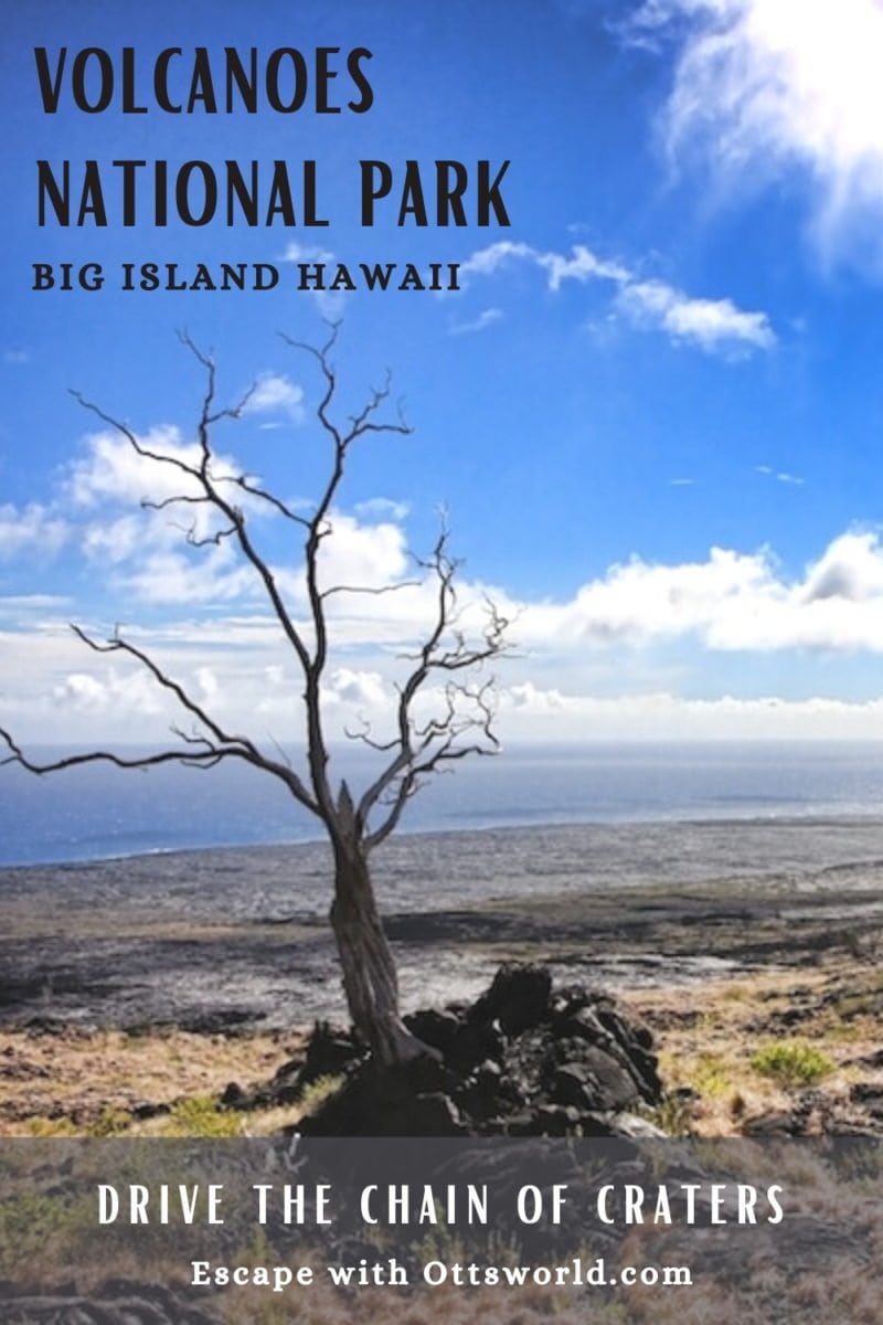 landscape in Volcanoes National Park Hawaii