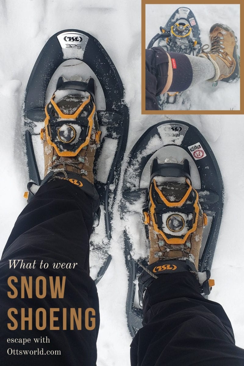 Snowshoe gear