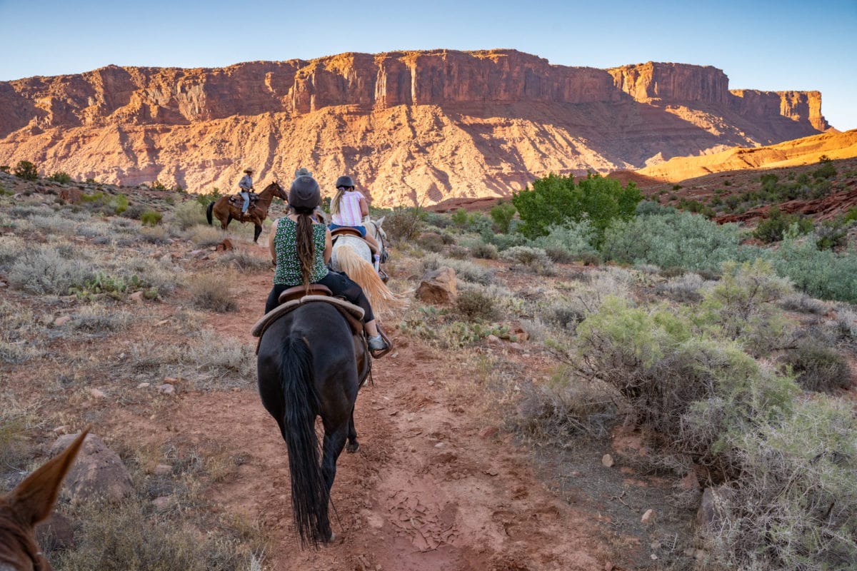 red cliffs lodge moab horse rides