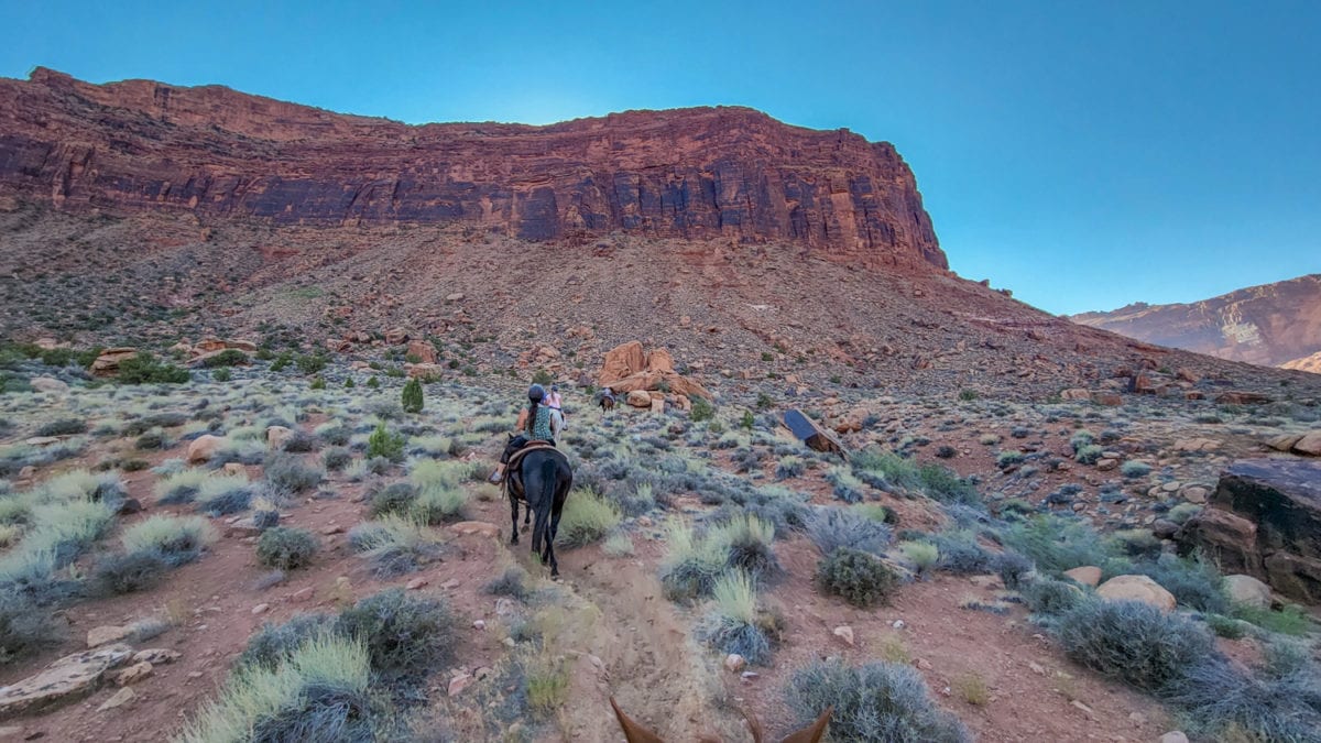 red cliffs lodge moab horse rides