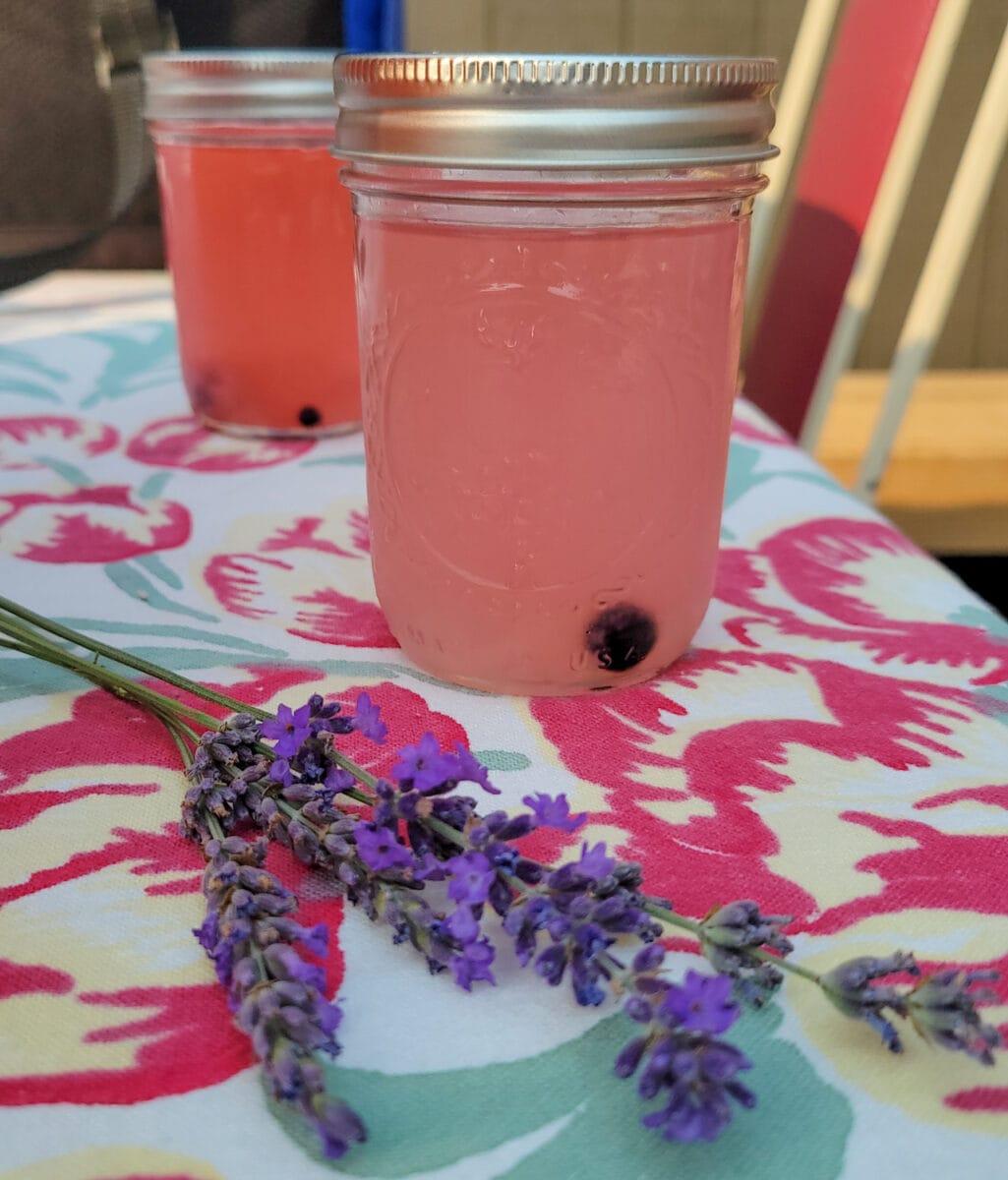 Lavender lemonade montana