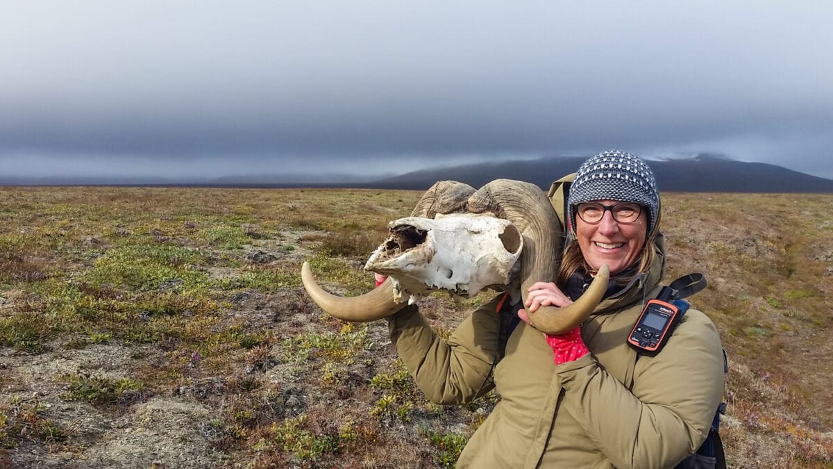 wrangel island cruise