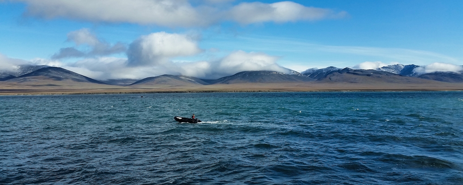 wrangel island cruise