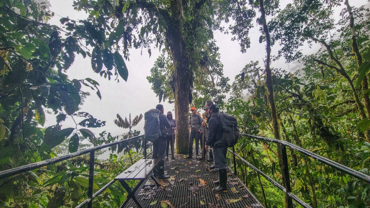 mashpi reserve ecuador