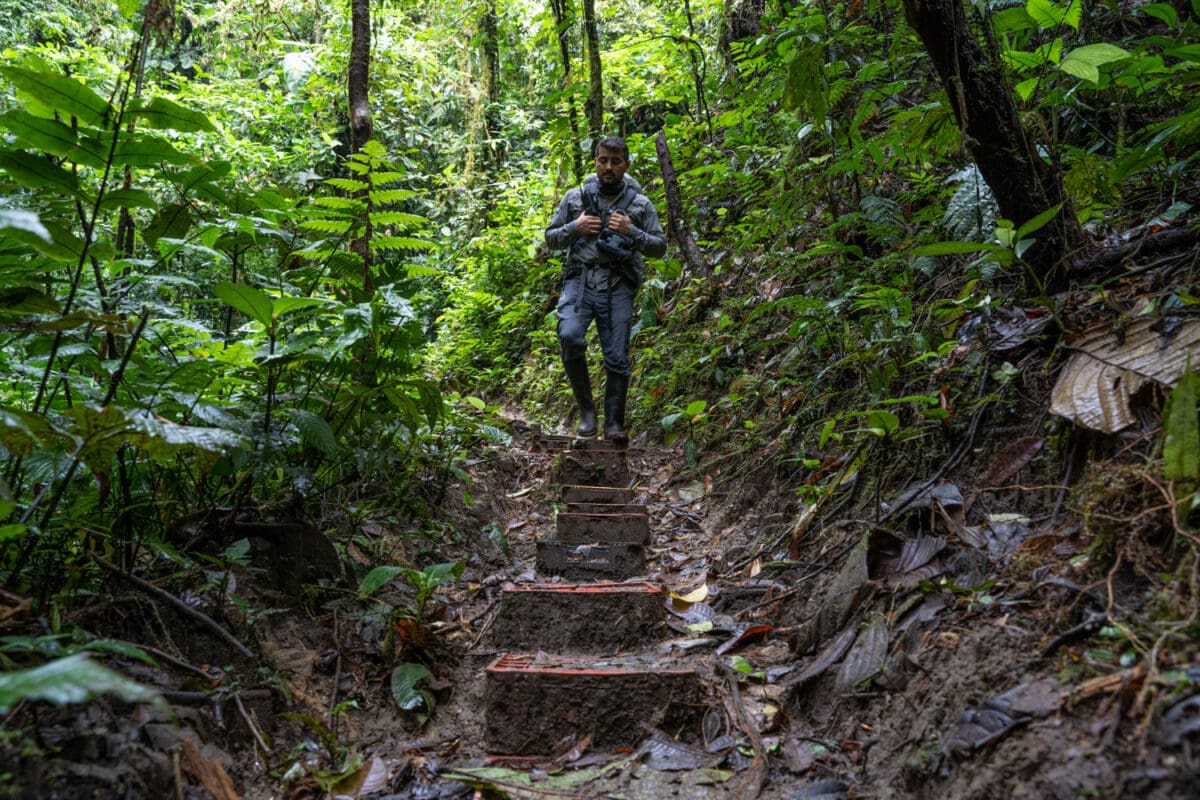 Rainforest Ecuador hiking