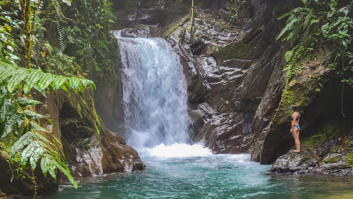 Mashpi rainforest waterfall