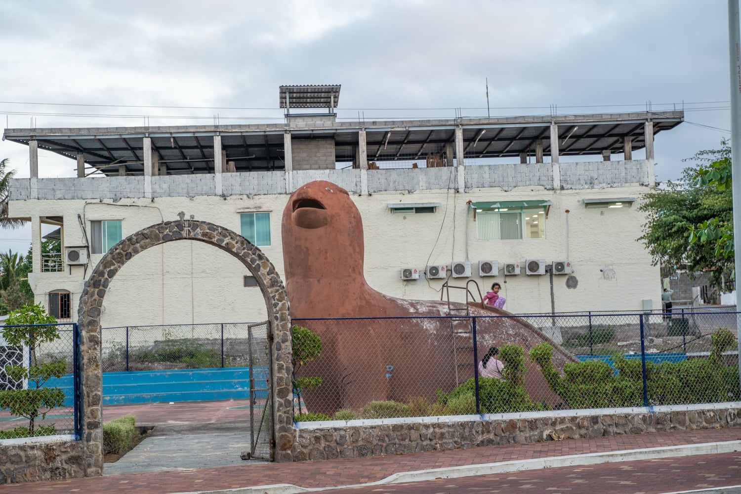 san cristobal sea lion slide